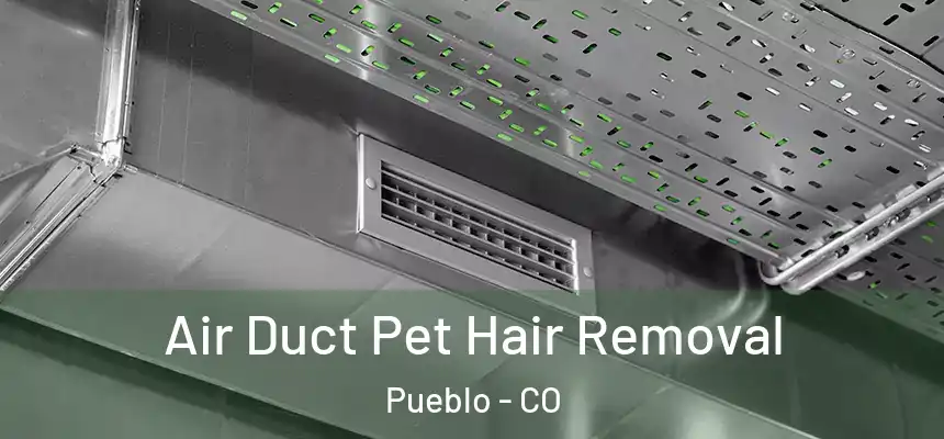 Air Duct Pet Hair Removal Pueblo - CO