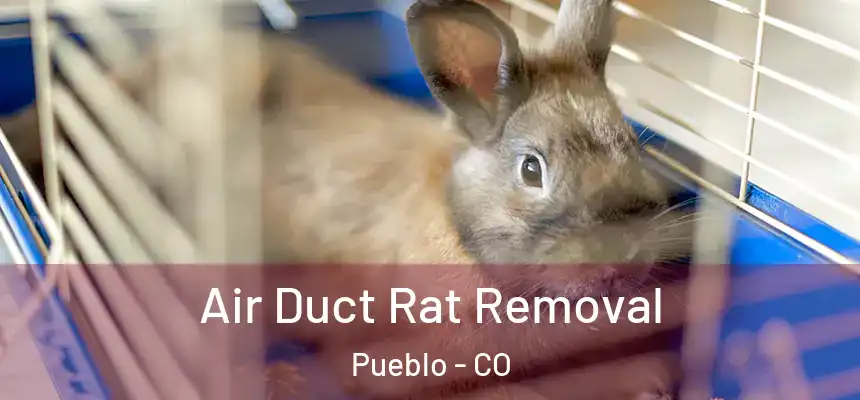 Air Duct Rat Removal Pueblo - CO