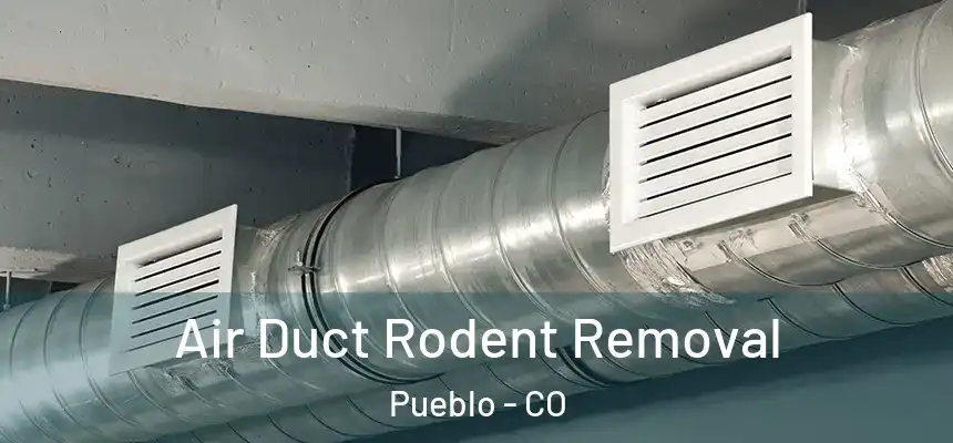 Air Duct Rodent Removal Pueblo - CO