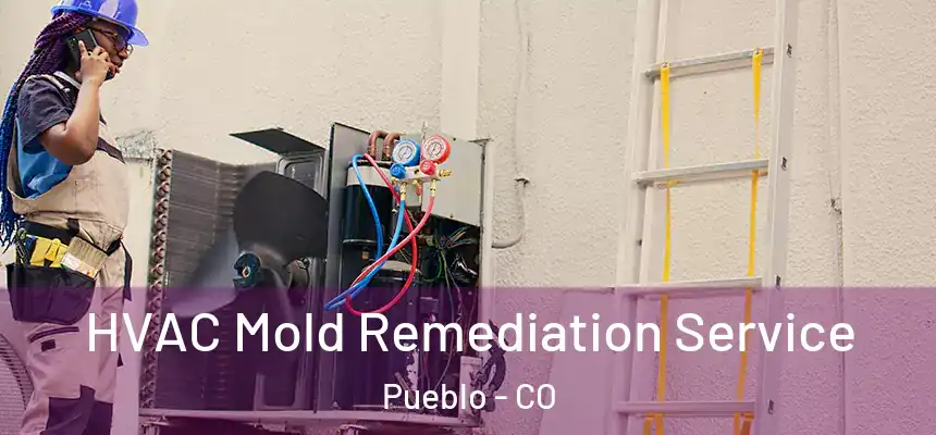 HVAC Mold Remediation Service Pueblo - CO