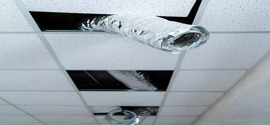 Our Air Duct Pet Hair Removal Services in Pueblo, CO