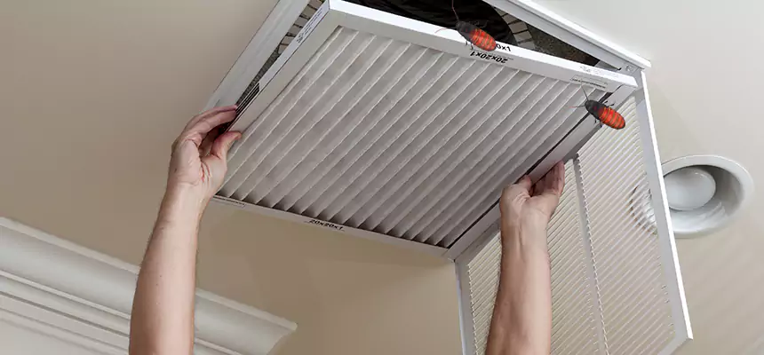 Our Insect Removal from Air Ducts Services in Pueblo, CO