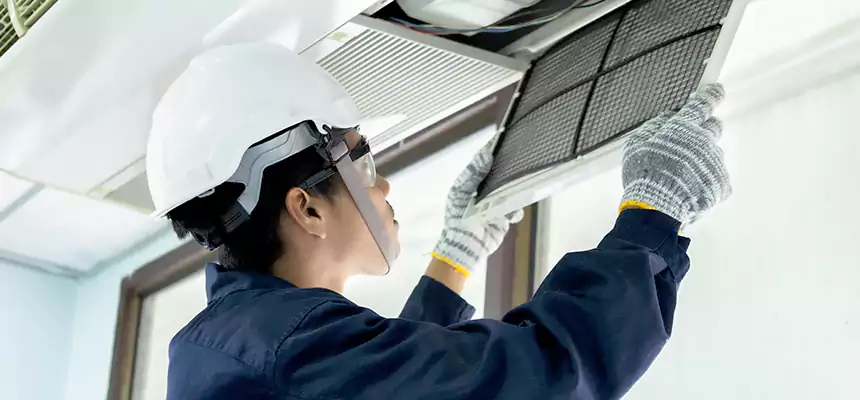 Our Mold & Mildew Removal from Air Ducts Services in Pueblo, CO