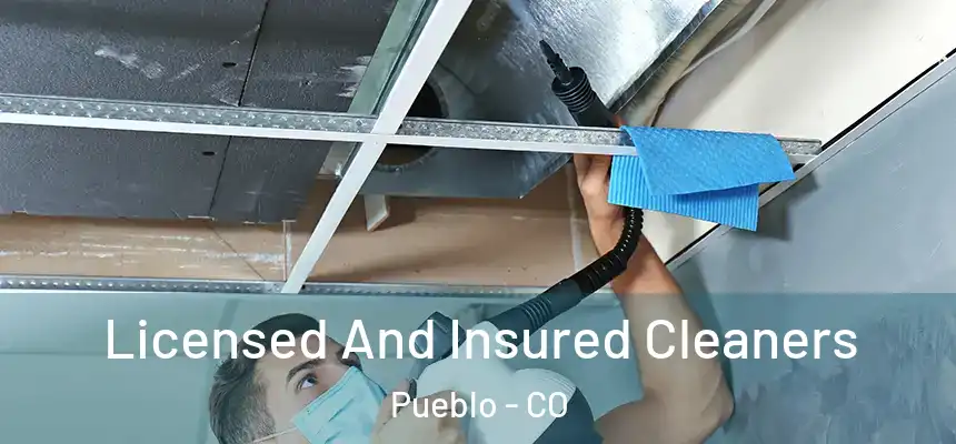 Licensed And Insured Cleaners Pueblo - CO