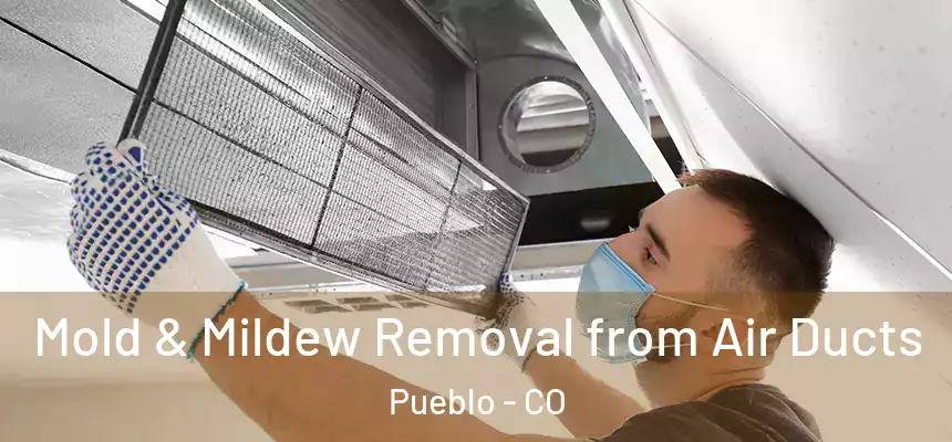 Mold & Mildew Removal from Air Ducts Pueblo - CO