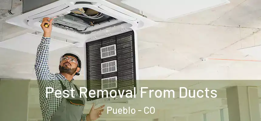 Pest Removal From Ducts Pueblo - CO