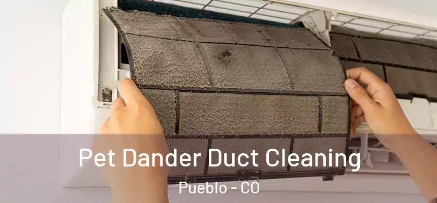 Pet Dander Duct Cleaning Pueblo - CO
