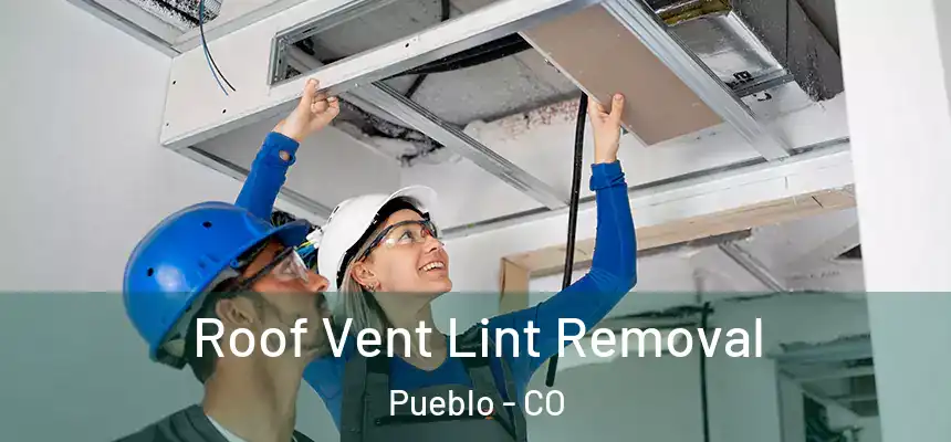 Roof Vent Lint Removal Pueblo - CO