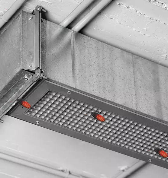 About Air Duct Cockroach Removal in Pueblo, CO