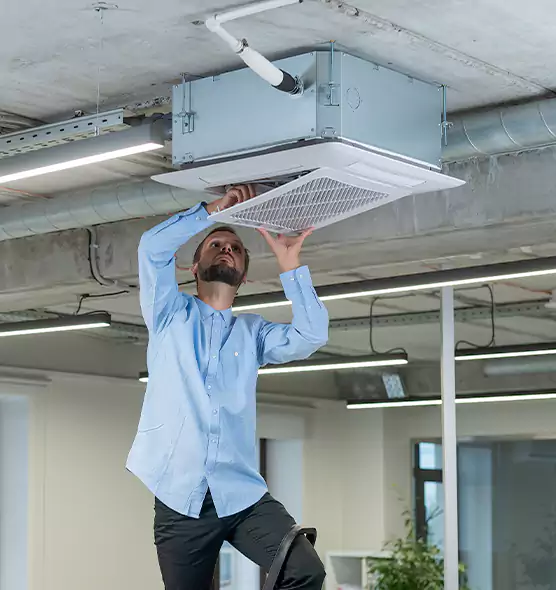 Advanced Rodent Droppings In Vents in Pueblo, CO