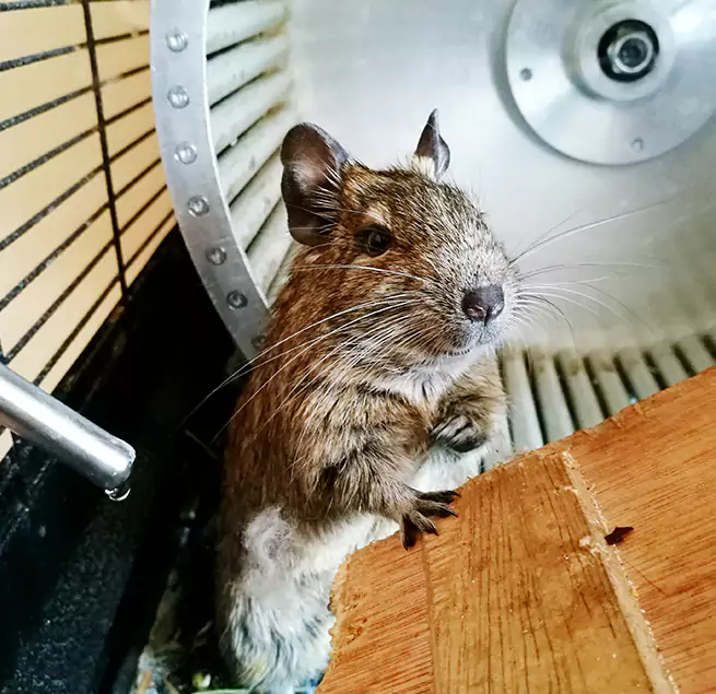 Why Homeowners & Businesses Trust Us Pueblo, CO