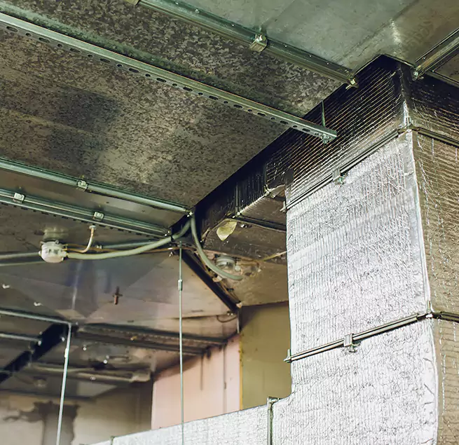 Why Homeowners & Businesses Trust Us in Pueblo, CO?